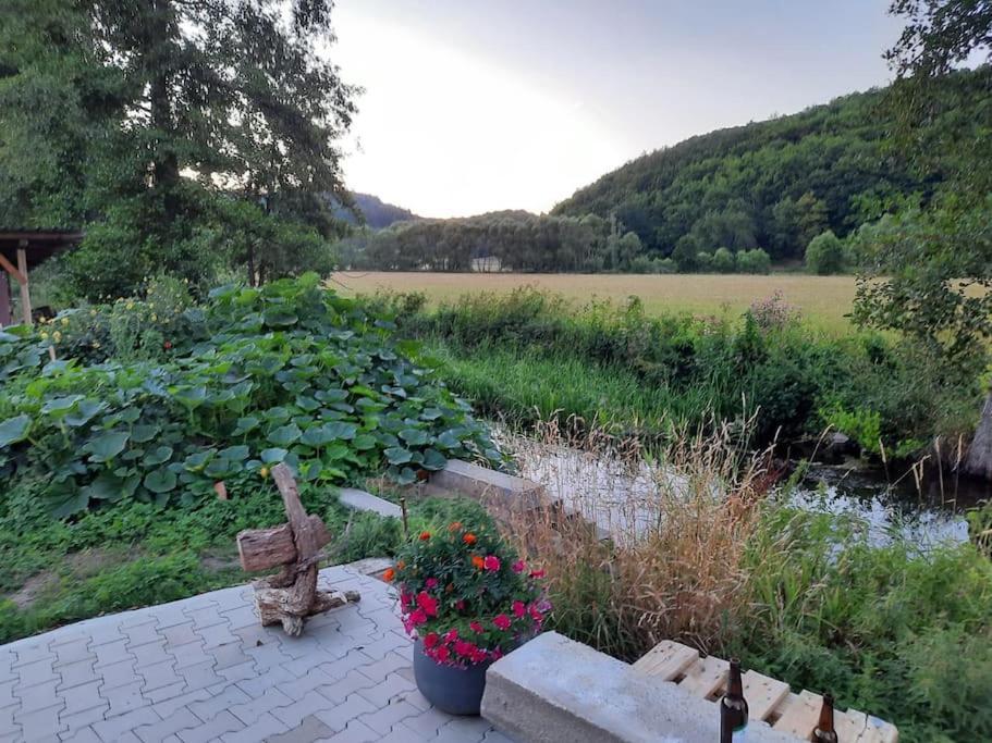 Lindenwohnung An Historischer Muehle Holzhausen  Esterno foto
